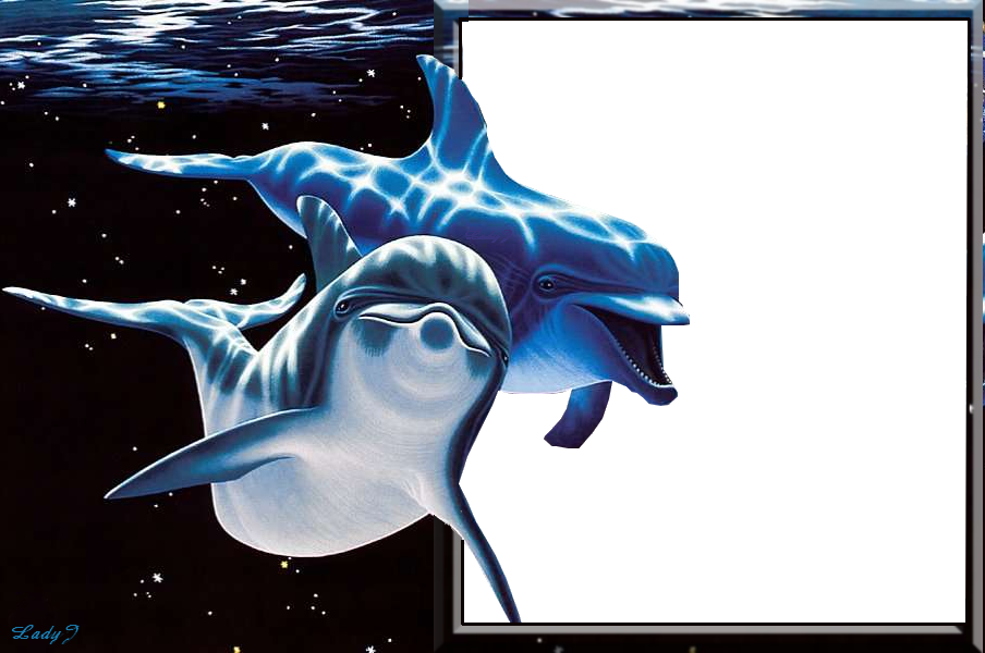 delfines képkeret