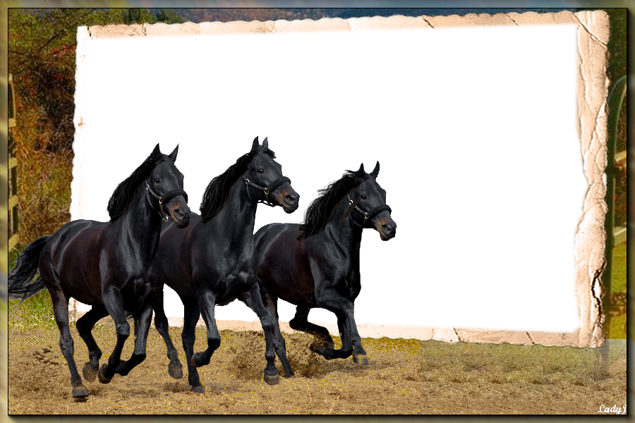 lovas  képkeret, fekete lovak