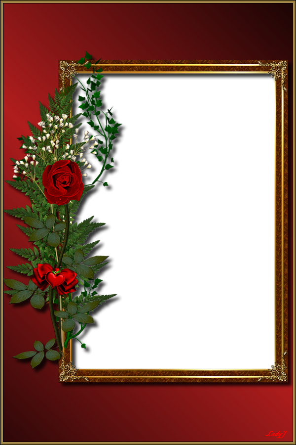 valentin napi képkeret, elgáns egy szál rózsával