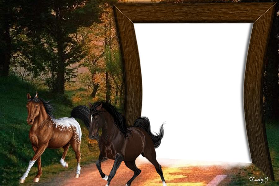 lovas  képkeret, két gyönyörű lóval