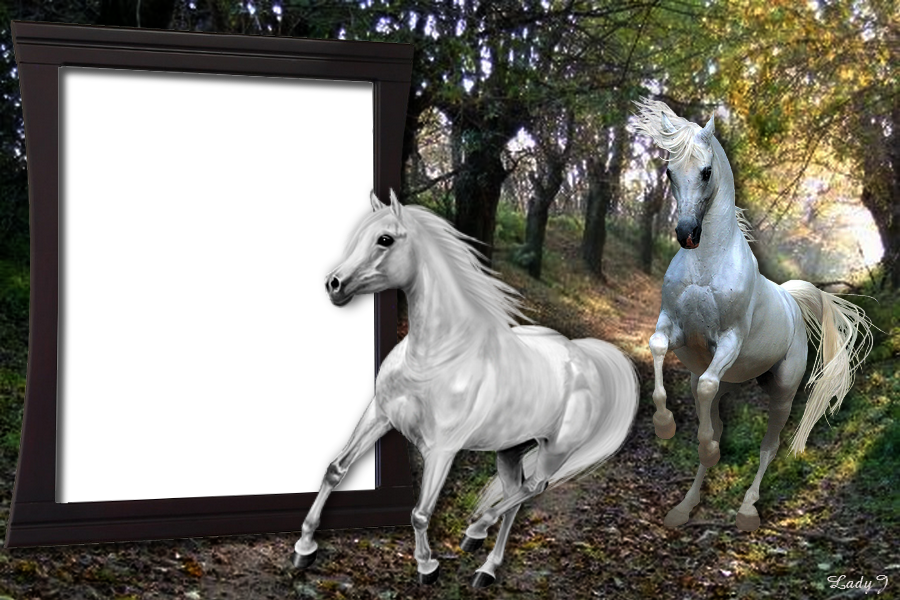 lovas  képkeret, két fehér lóval