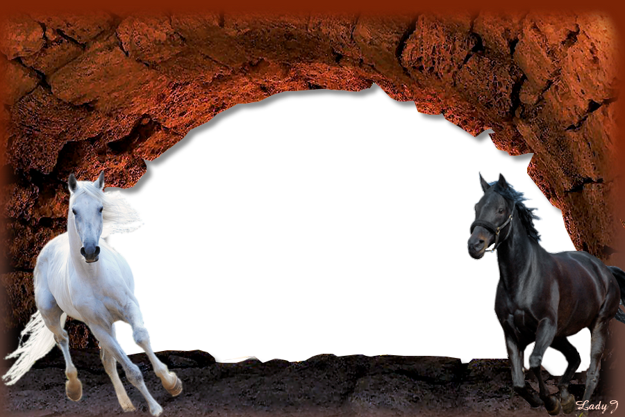 lovas  képkeret, vágtató fekete és fehér ló
