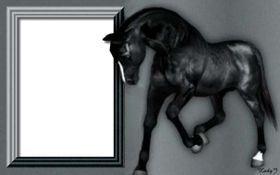 lovas  képkeret, fekete ló